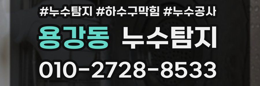 용강동 누수탐지업체