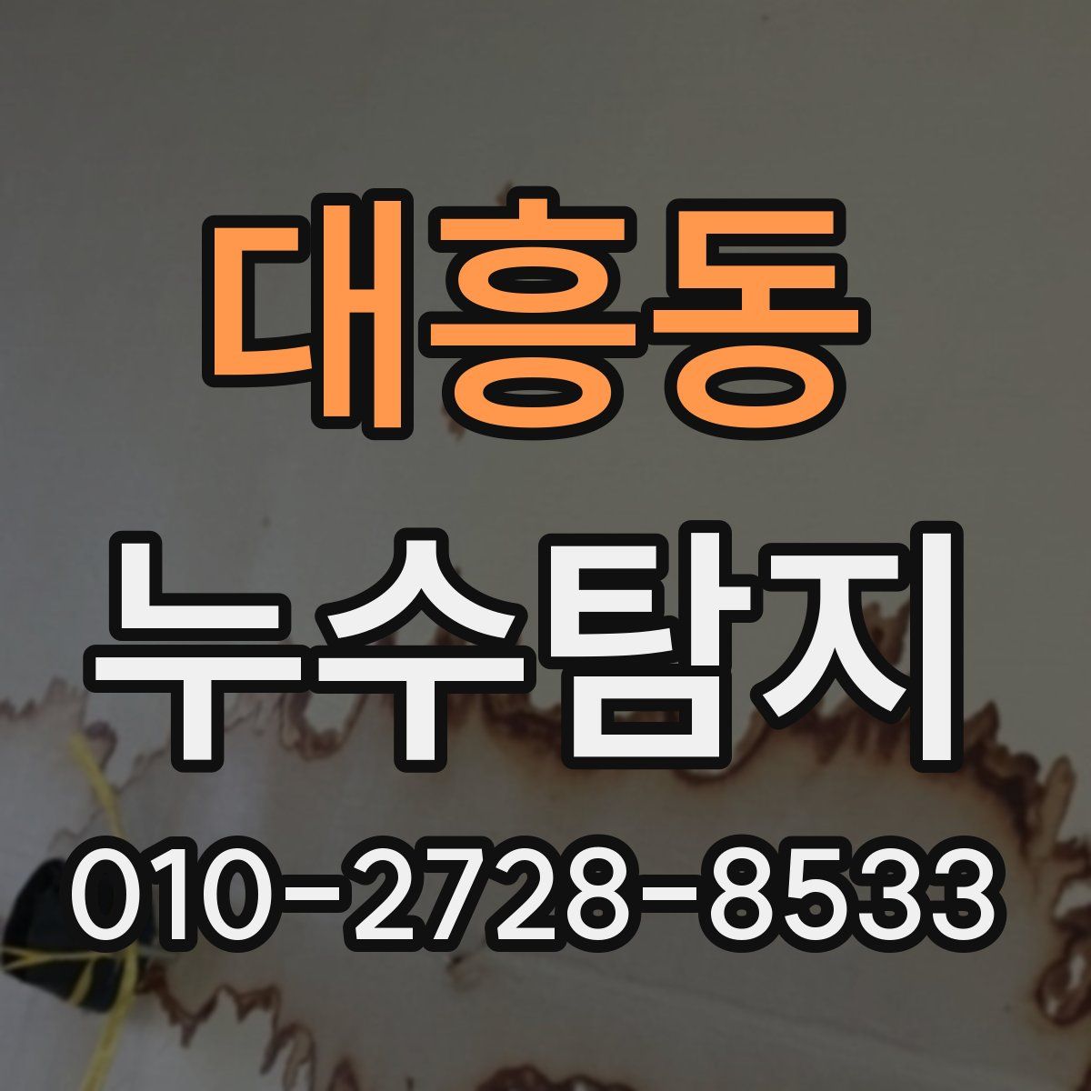 대흥동 누수탐지
