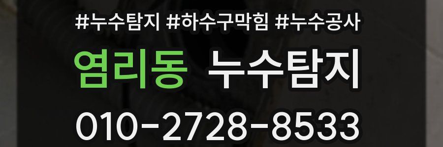 염리동 누수탐지업체
