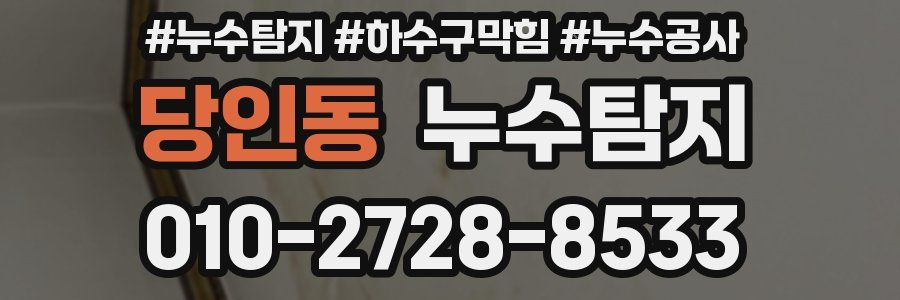 당인동 누수탐지업체