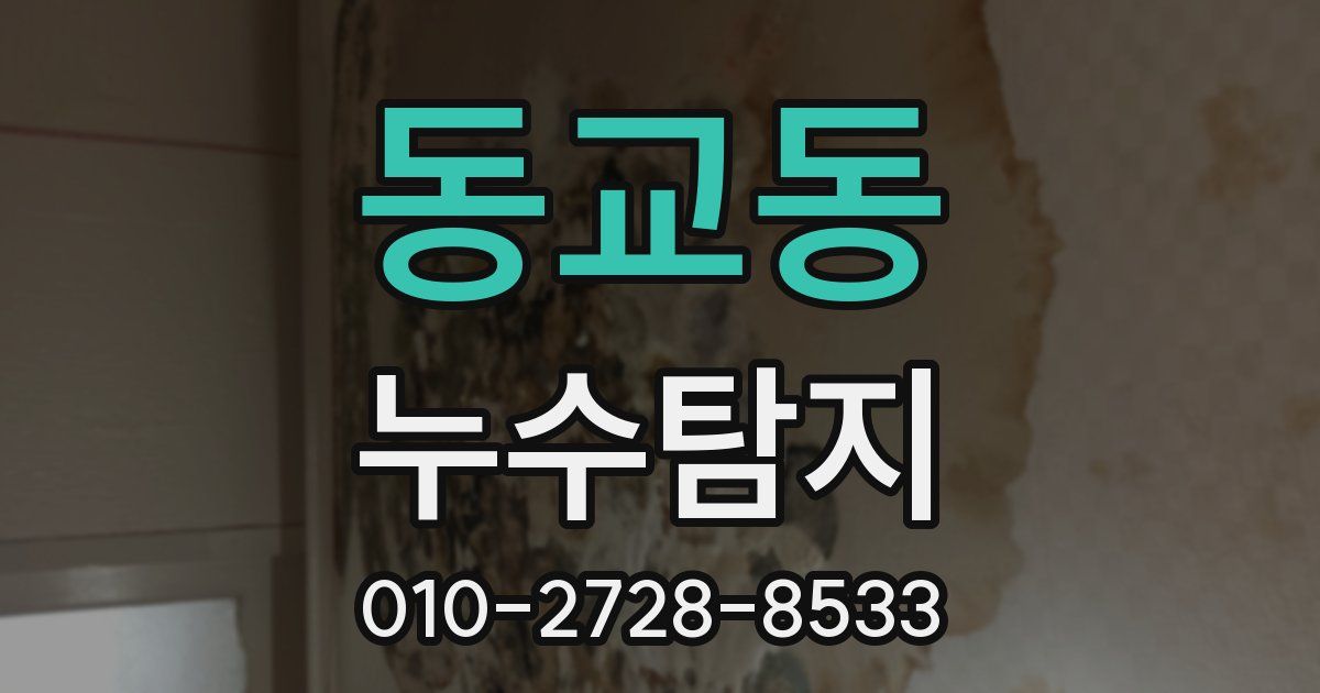동교동 누수공사