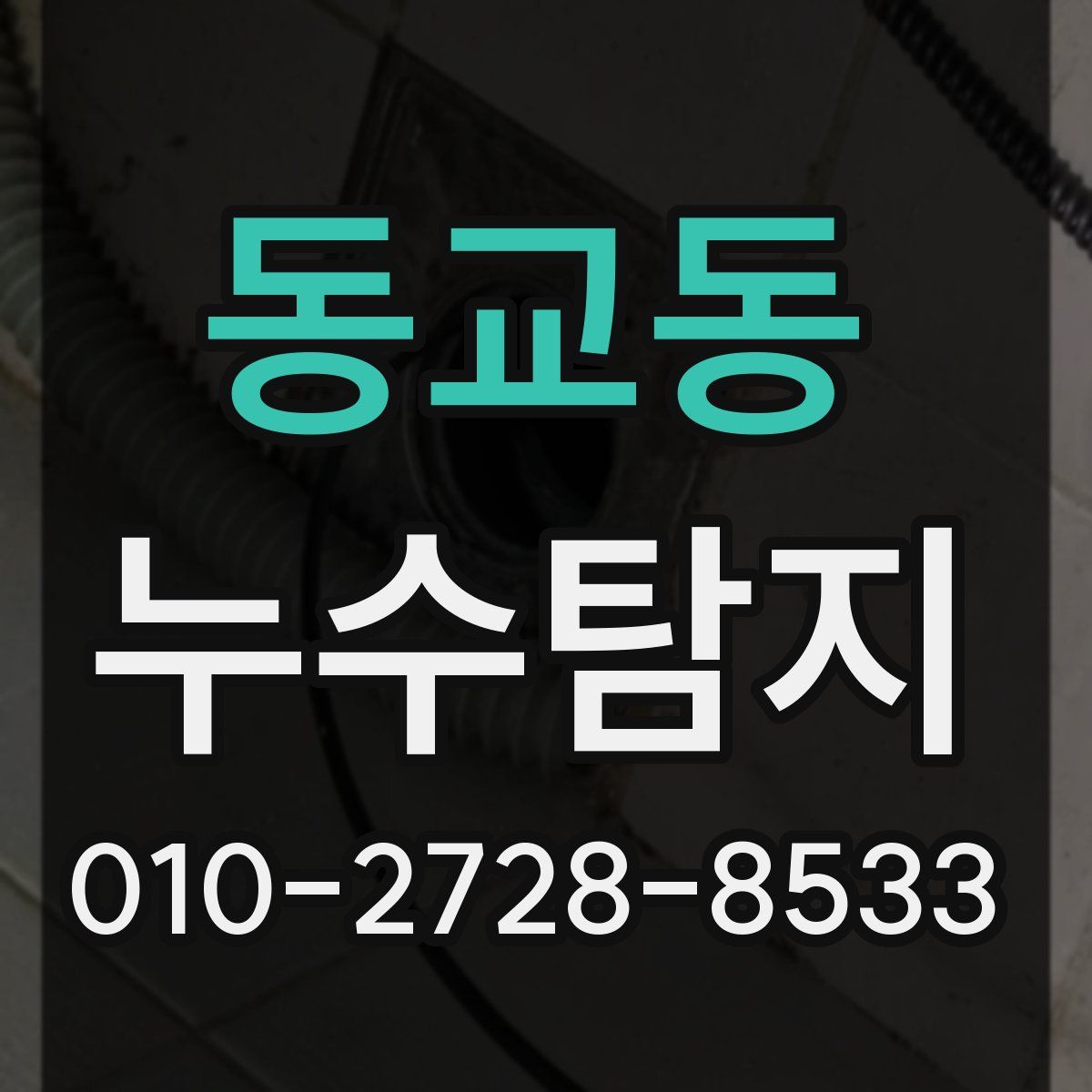 동교동 누수탐지