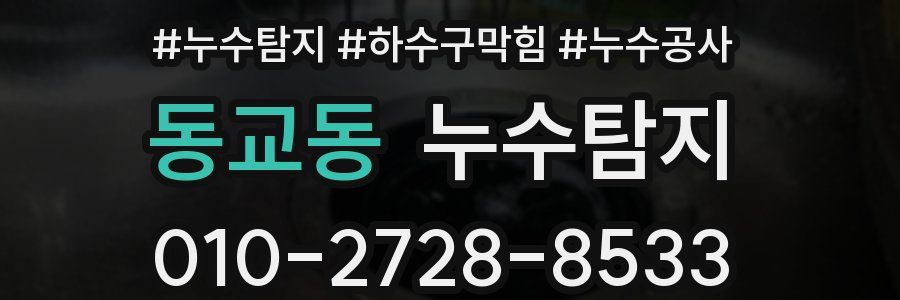 동교동 누수탐지업체