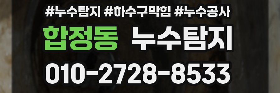 합정동 누수탐지업체