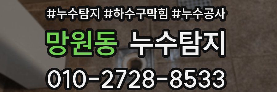 망원동 누수탐지업체