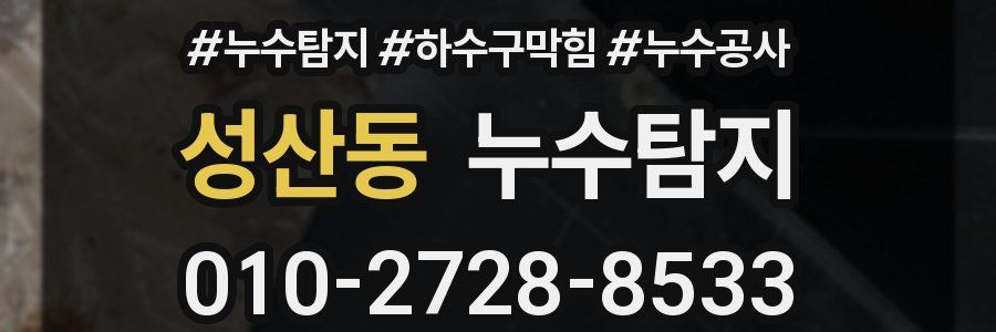 성산동 누수탐지업체