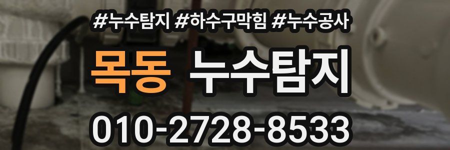 목동 누수탐지업체