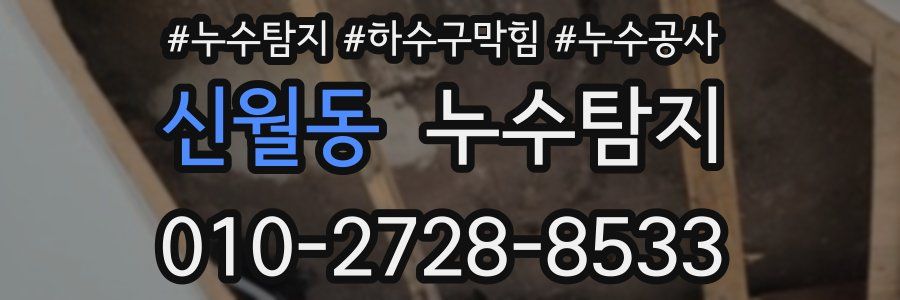 신월동 누수탐지업체