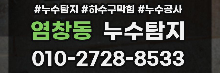 염창동 누수탐지업체