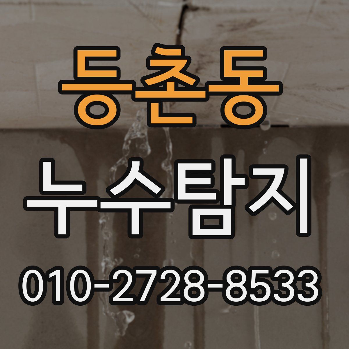 등촌동 누수탐지