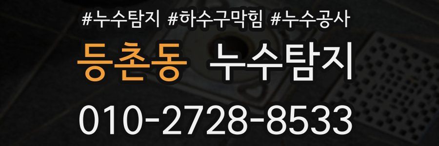 등촌동 누수탐지업체