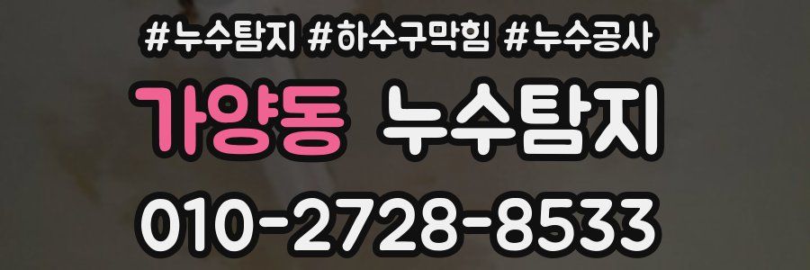 가양동 누수탐지업체