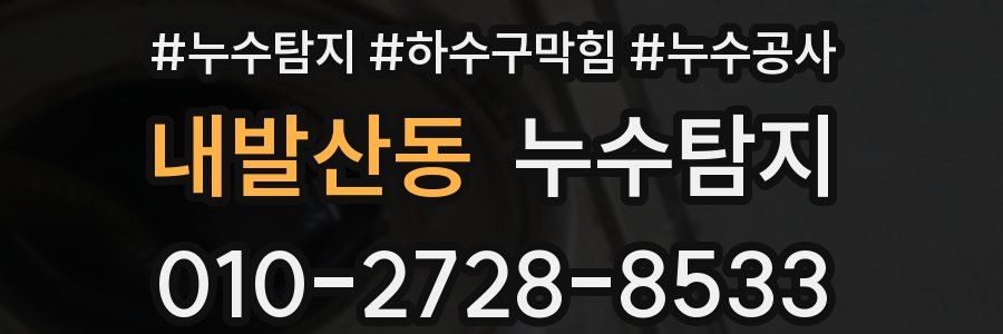 내발산동 누수탐지업체