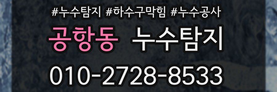 공항동 누수탐지업체