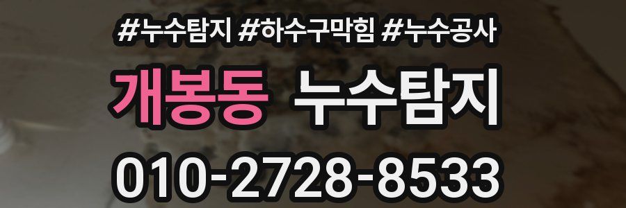 개봉동 누수탐지업체
