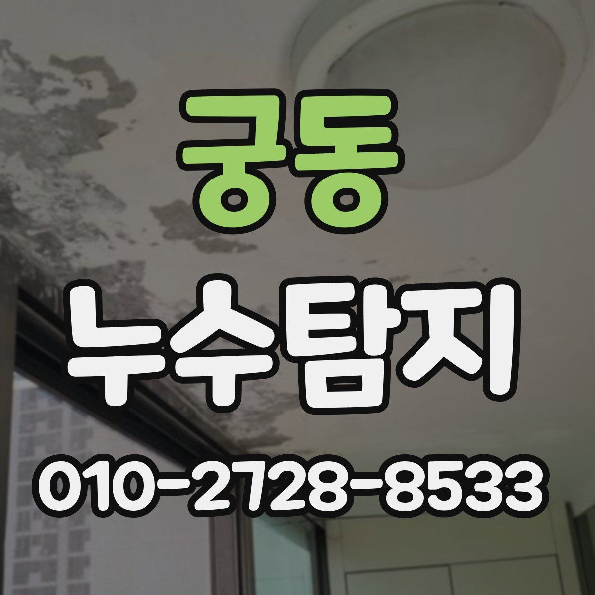 궁동 누수탐지