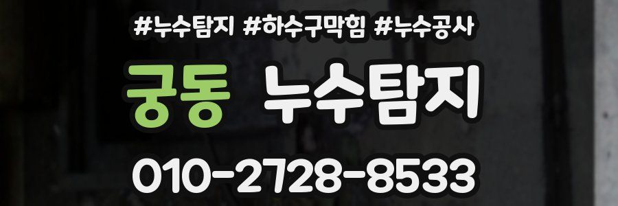 궁동 누수탐지업체