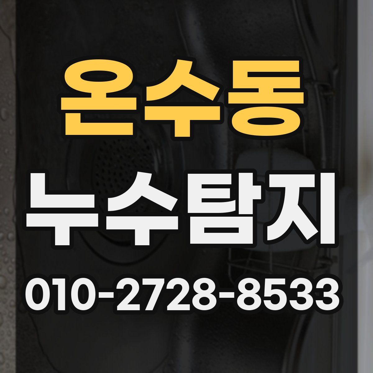 온수동 누수탐지