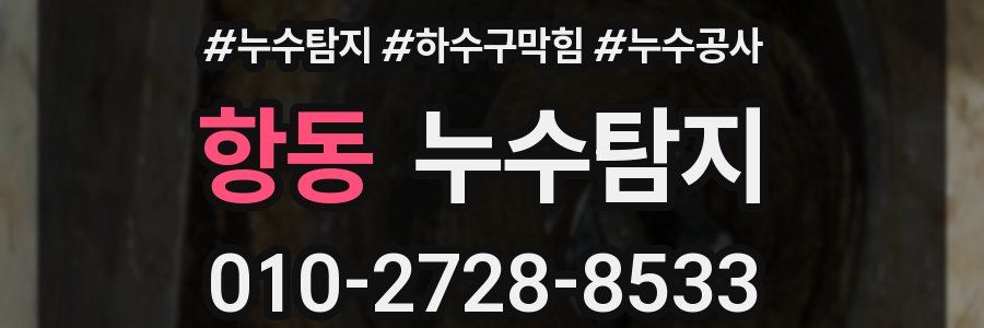 항동 누수탐지업체