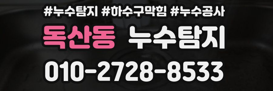 독산동 누수탐지업체
