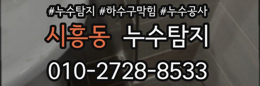 시흥동 누수탐지업체