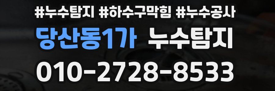 당산동1가 누수탐지업체
