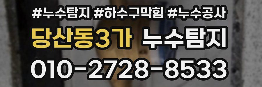 당산동3가 누수탐지업체