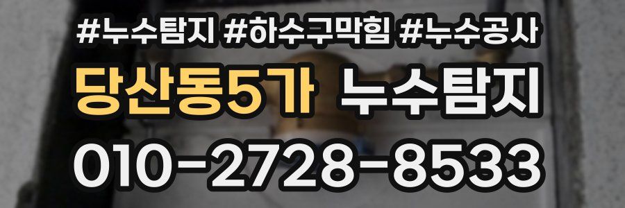 당산동5가 누수탐지업체