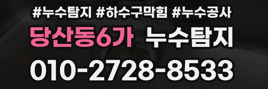 당산동6가 누수탐지업체