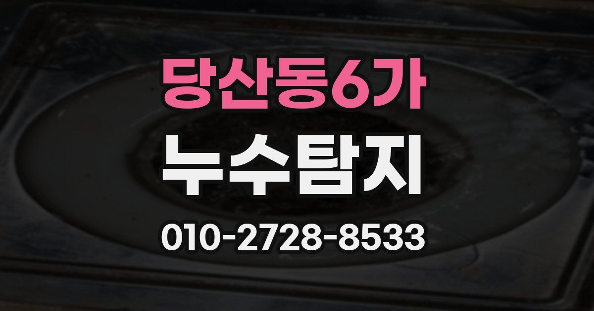 당산동6가 누수공사