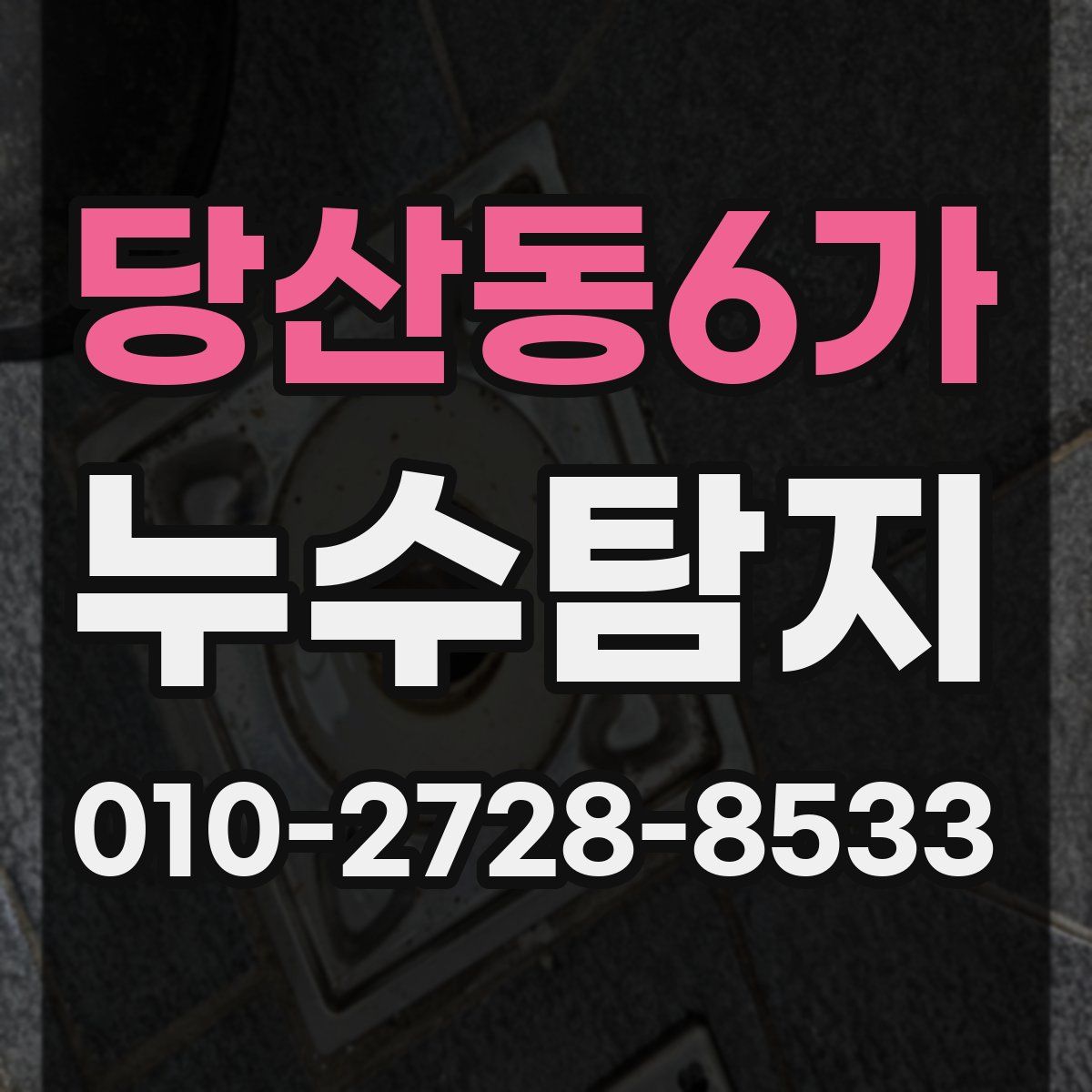 당산동6가 누수탐지