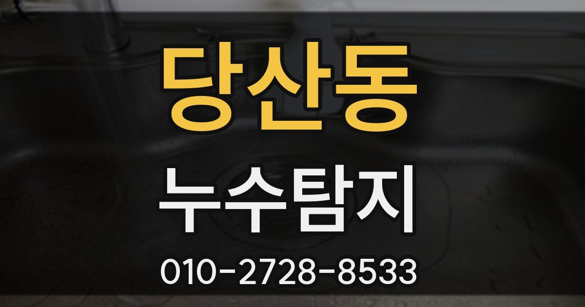 당산동 누수공사