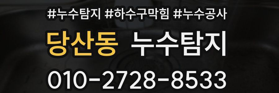 당산동 누수탐지업체