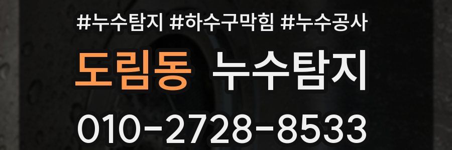 도림동 누수탐지업체