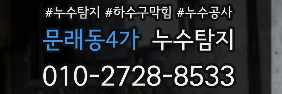 문래동4가 누수탐지업체