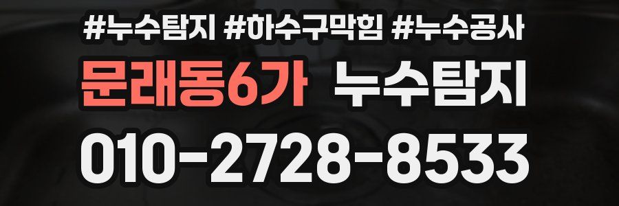 문래동6가 누수탐지업체