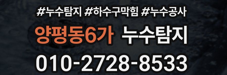 양평동6가 누수탐지업체