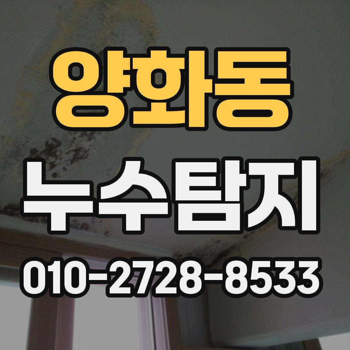 양화동 누수탐지