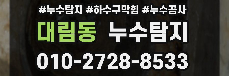 대림동 누수탐지업체