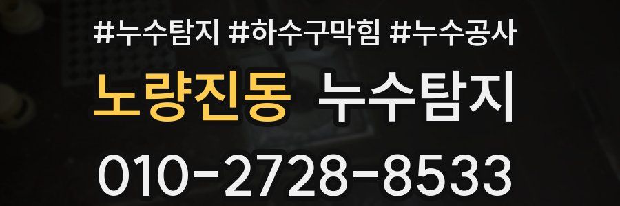 노량진동 누수탐지업체