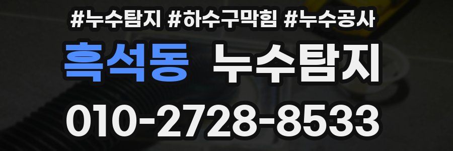 흑석동 누수탐지업체