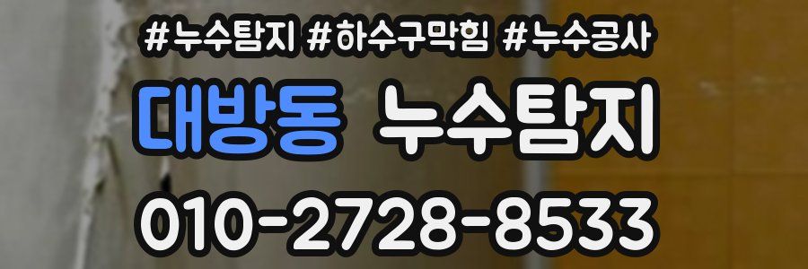대방동 누수탐지업체