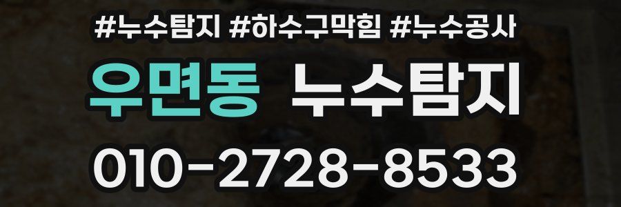 우면동 누수탐지업체