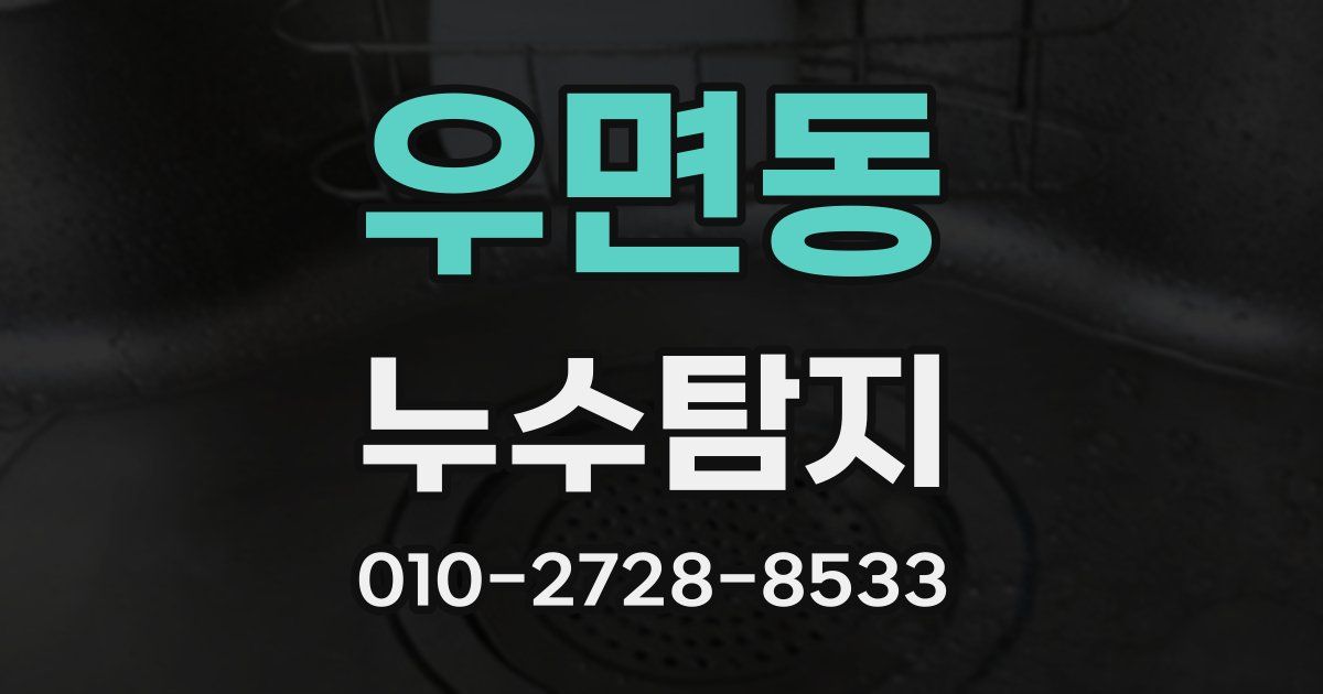 우면동 누수공사