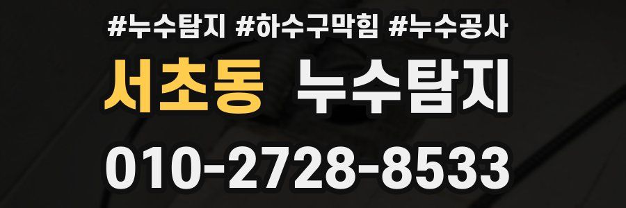 서초동 누수탐지업체