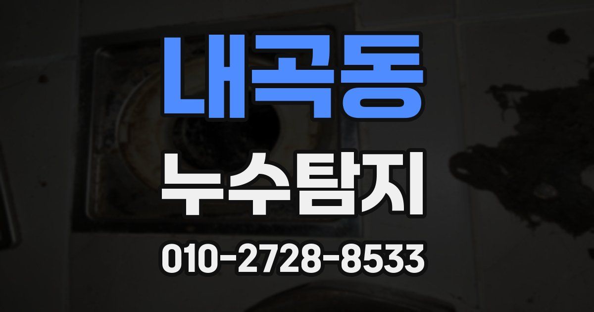 내곡동 누수공사