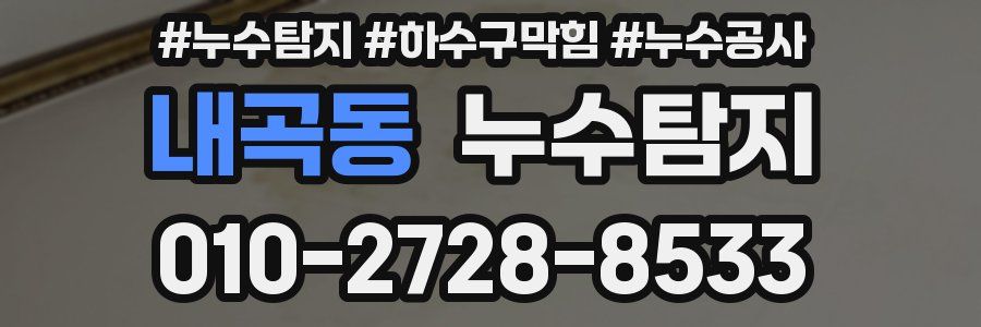 내곡동 누수탐지업체