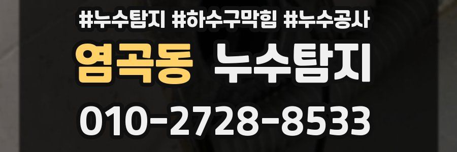 염곡동 누수탐지업체