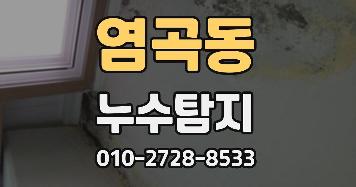 염곡동 누수공사
