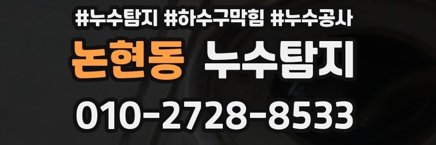 논현동 누수탐지업체